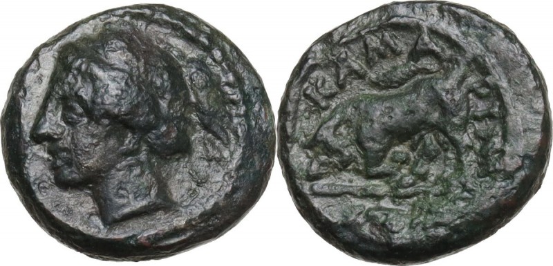 Sicily. Kamarina. AE 12 mm, circa 310-290 BC. Female head left. / Bull charging ...