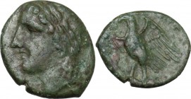 Sicily. Syracuse. Hiketas (287-278 BC). AE 19 mm. Laureate head of Zeus Hellanios left. / Eagle standing left on thunderbolt. CNS II 158; HGC 2 1495; ...