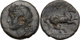 Sicily. Syracuse. Hieron II (274-216 BC). AE 17 mm. Head of Apollo left, laureate. / Horse prancing right. CNS II 203. AE. 4.01 g. 17.00 mm. About EF.