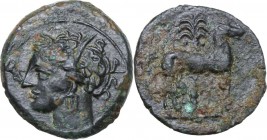 Punic Sicily. AE 17 mm, late 4th - early 3rd century BC. Head of Tanit left, wearing wreath. / Horse standing right; behind, palm tree. SNG Cop. 109-1...