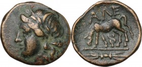 Greek Asia. Troas, Alexandreia. AE 12.5 mm, circa 261-227 BC. Laureate head of Apollo left. / Horse grazing left; kerykeion below, thunderbolt in exer...