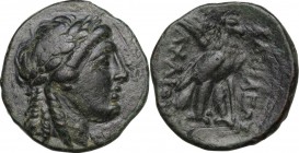 Greek Asia. Syria, Seleucid Kings. Achaios (Usurper, 220-214 BC). AE 18 mm. Sardes mint. Laureate head of Apollo right. / Eagle standing right, palm f...