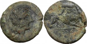 Anonymous. AE Double litra, 275-270 BC, Neapolis mint. Female head right. / Lion walking right, holding spear in mouth. Cr. 16/1a (Double Litra); HN I...
