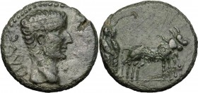 Tiberius (14-37). AE 16 mm, Philippi (?) mint, Macedon. Bare head right. / Two priests driving yoke of oxen right, plowing pomerium. RPC I 1657. AE. 3...