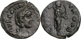 Salonina, wife of Gallienus (died 268 AD). AE 20 mm, Alexandria Troas (Troas). Diademed and draped bust right. / Apollo Smintheus standing right holdi...