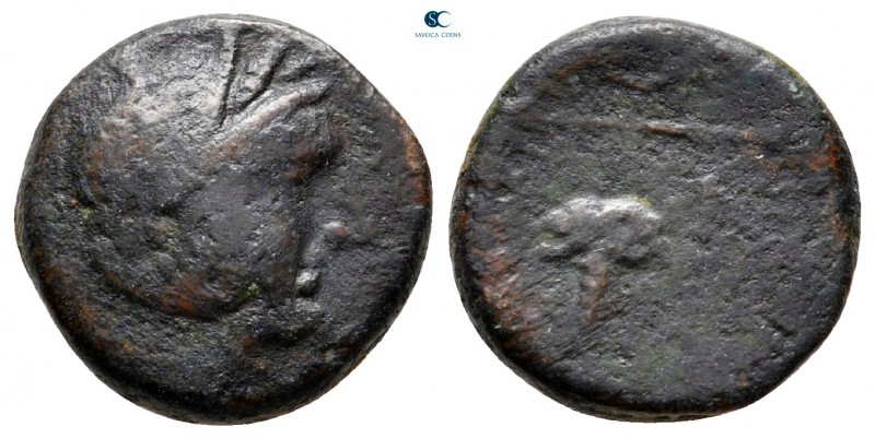 Messenia. Messene circa 180-150 BC. 
Bronze Æ

13 mm, 3,84 g

Head of Demet...