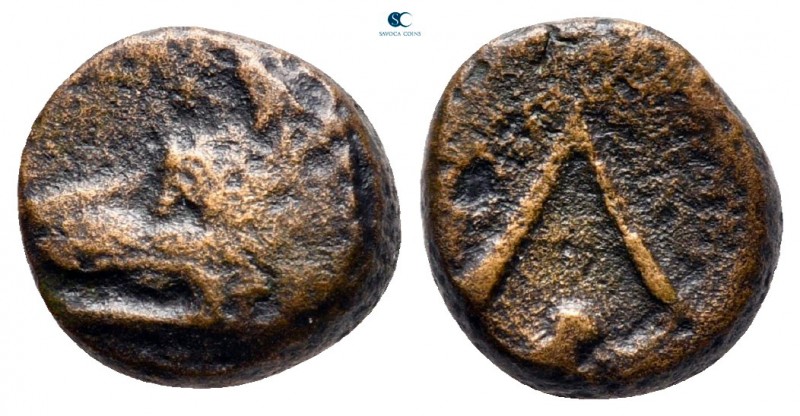 Argolis. Argos circa 330-300 BC. 
Chalkous Æ

10 mm, 1,92 g

Head of wolf l...