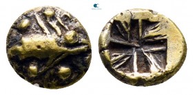 Mysia. Kyzikos circa 600-550 BC. 1/24 Stater EL