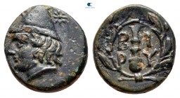 Troas. Birytis  circa 350-300 BC. Bronze Æ