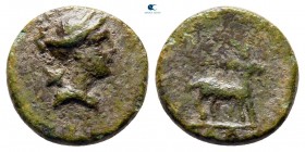 Caria. Amyzon circa 200-100 BC. Bronze Æ