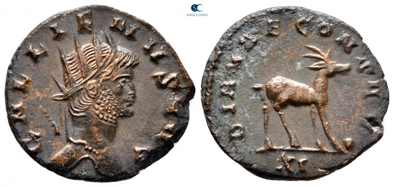 Gallienus AD 253-268. Rome
Antoninianus Æ

21 mm, 3,11 g

GALLEINVS AVG, ra...