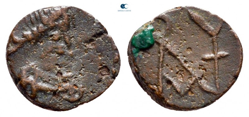 Anastasius I AD 491-518. Constantinople
Nummus Æ

9 mm, 0,88 g

Diademed, d...