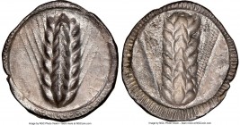 LUCANIA. Metapontum. Ca. 510-470 BC. AR stater (24mm, 7.23 gm, 12h). NGC AU 4/5 - 3/5. META (on right, retrograde), barley ear with seven grains; guil...
