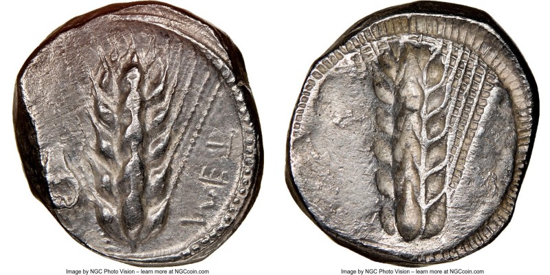 LUCANIA. Metapontum. Ca. 470-440 BC. AR stater (19mm, 7.73 gm, 6h). NGC Choice A...