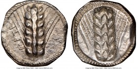 LUCANIA. Metapontum. Ca. 470-440 BC. AR stater (20mm, 7.55 gm, 5h). NGC Choice XF 4/5 - 4/5. META, barley ear with six grains; guilloche border on rai...