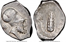 LUCANIA. Metapontum. Ca. 340-330 BC. AR stater (25mm, 2h). NGC VF, Fine Style. Ap- and Ami-, magistrates. Head of Leucippus right, wearing Corinthian ...