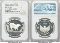 Republic Proof 10000 Rupiah 1987 PR69 Ultra Cameo NGC, KM45. World Wildlife fund issue - Wild Boar. 

HID09801242017

© 2020 Heritage Auctions | A...