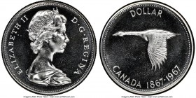 Elizabeth II Specimen Dollar 1967 SP66 NGC, Royal Canadian mint, KM70. One-year type Confederation centennial issue.

HID09801242017

© 2020 Heritage ...