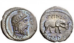 Imperatorial Issues 
 Q. Caecilius Metellus Pius Scipio. Denarius, mint moving with Scipio in Africa 47-46, AR 3.89 g. Q·METEL Laureate head of Jupit...