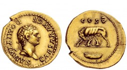 The Roman Empire 
 The Mythical Founding of Rome 
 Aureus 77-78, AV 7.29 g. CAESAR AVG F – DOMITIANVS Laureate head r. Rev. COS V She-wolf l., with ...