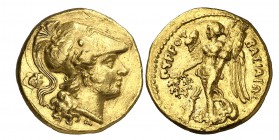 Pirro (306-272 a.C.). Sicilia. Siracusa. Estátera de oro. (S. 980 var) (CNG. III, 259 var). 8,50 g. Golpecitos en canto. Rayas. Rara. (MBC).