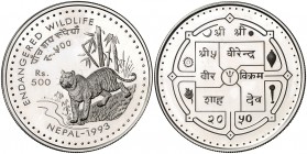 VS 2050 (1993). Nepal. Aishvarya Rajya Lakshmi. 500 rupias. (Kr. 1091). 31,72 g. AG. Conservación de la Naturaleza. Escasa. Proof.