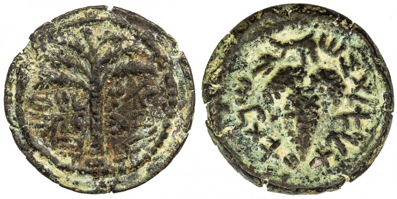 ANCIENT JUDEA: Bar Kochba Revolt, 132-135 AD, AE small bronze (4.95g), year 1 (1...