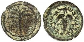 ANCIENT JUDEA: Bar Kochba Revolt, 132-135 AD, AE small bronze (4.95g), year 1 (132/3 AD), Hendin-681, Mildenberg-150, palm tree with seven branches an...