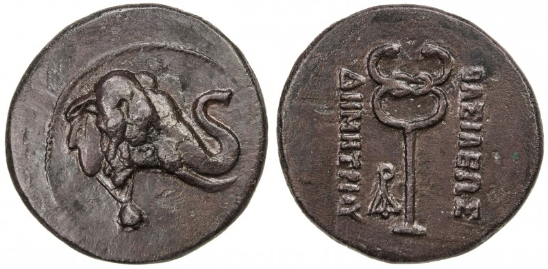 INDO-GREEK: Demetrios I, ca. 200-190 BC, AE triple unit (11.79g), Bop-5C, elepha...