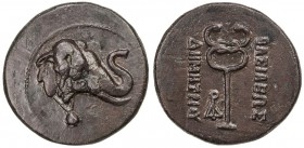 INDO-GREEK: Demetrios I, ca. 200-190 BC, AE triple unit (11.79g), Bop-5C, elephant head, bell around neck // caduceus, fabulous example, EF, R, ex CNG...
