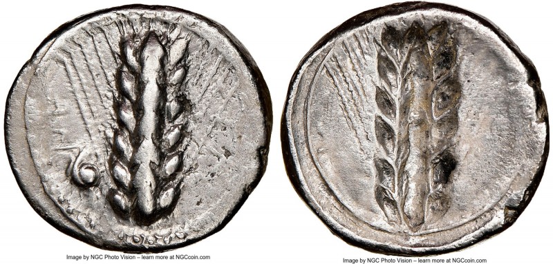 LUCANIA. Metapontum. Ca. 470-440 BC. AR stater (20mm, 6h). NGC Choice VF, brushe...