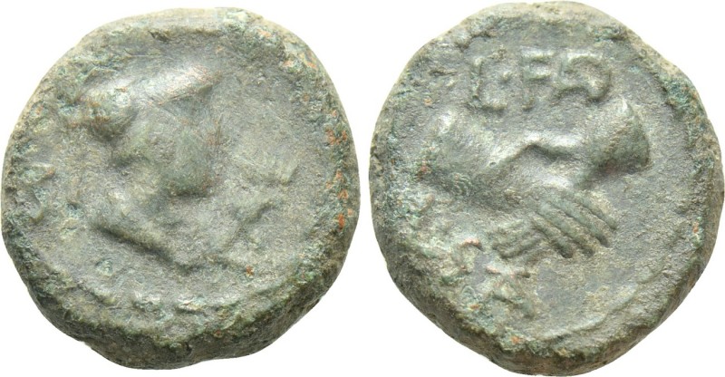 LUCANIA. Paestum (Poseidonia). Ae Semis (Circa 90-44 BC). 

Obv: PAE. 
Helmet...