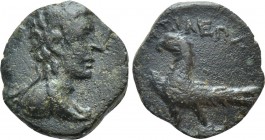 KINGS OF THRACE (Odrysian [Astaian]). Kotys IV (57-50/48 BC). Ae. Odessos or Bizye. 

Obv: Diademed and draped bust right.
Rev: BAΣIΛEΩΣ / KOTYOΣ. ...