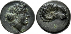 TROAS. Kebren. Ae (Circa 387-310 BC). 

Obv: Laureate head of Apollo right.
Rev: Head of ram right.

SNG Ashmolean 1107; SNG Copenhagen 263-5 var...
