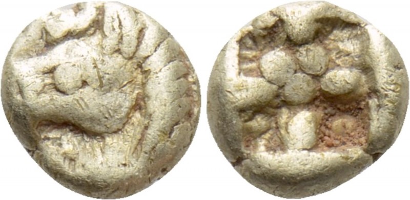 IONIA. Uncertain. EL 1/48 Stater (Circa 600-550 BC). 

Obv: Head of horse left...