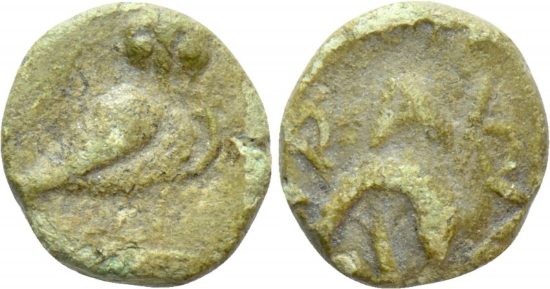 IONIA. Herakleia ad Latmon. Ae (2nd century BC). 

Obv: Owl standing right.
R...