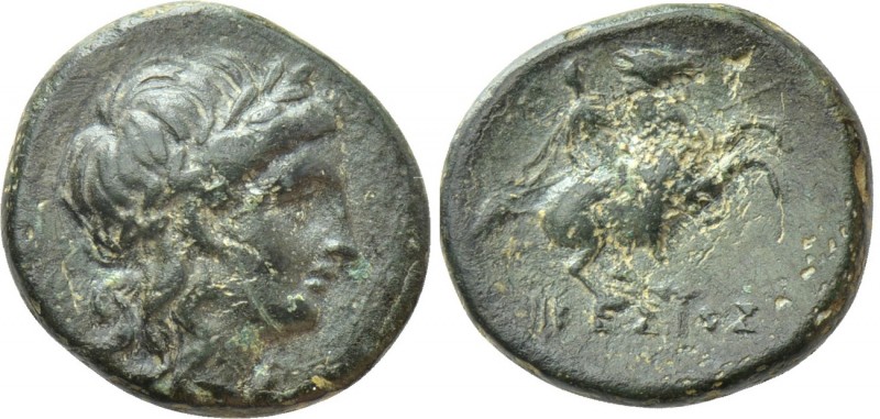 IONIA. Kolophon. Ae (Circa 285-190 BC). Ikesios, magistrate. 

Obv: Head of Ap...