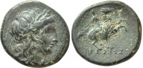 IONIA. Kolophon. Ae (Circa 285-190 BC). Ikesios, magistrate. 

Obv: Head of Apollo right, wearing tainia.
Rev: KOΛ IKEΣIOΣ. 
Horseman, holding spe...