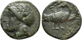 IONIA. Leukai. Ae (Circa 350-300 BC). 

Obv: Laureate head of Apollo left.
Rev: Swan with open wings right, head turned back, preening its wing.
...
