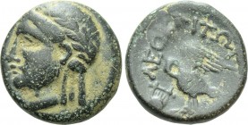 IONIA. Leukai. Ae (Circa 350-300 BC). [...]iton, magistrate. 

Obv: Laureate head of Apollo left.
Rev: ΛEO / [...]ITΩN. 
Swan standing left, preen...