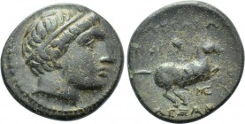 IONIA. Miletos. Ae (Circa 323-319 BC). In the Name of Alexander III of Macedon. 

Obv: Diademed head (Apollo?) right.
Rev: BAΣIΛEΩΣ AΛEΞANΔPOY. 
H...