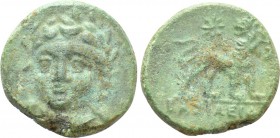 IONIA. Miletos. Ae (Circa 259-246 BC).Basileides, magistrate. 

Obv: Laureate head of Apollo facing slightly left.
Rev: BAΣIΛEIΔHΣ. 
Lion standing...