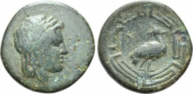 IONIA. Myous. Ae (Circa 400-380 BC). 

Obv: Laureate head of Apollo.
Rev: MYH. 
Goose standing right within maeander pattern.

Waddington 1884; ...