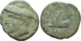 IONIA. Phokaia. Ae (Circa 350-300 BC). 

Obv: Head of Hermes left, wearing petasos.
Rev: ΦΩKAEΩN. 
Forepart of griffin left.

BMC 101; SNG von A...