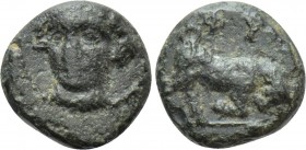 IONIA. Phygela. Ae (Circa 350-300 BC). 

Obv: Head of Artemis Munychia facing slightly left.
Rev: ΦΥ. 
Bull butting right.

SNG Kayhan 545; SNG ...