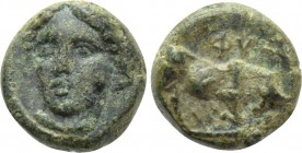 IONIA. Phygela. Ae (Circa 350-300 BC). 

Obv: Head of Artemis Munychia facing slightly left.
Rev: ΦΥΓ. 
Bull butting right.

SNG Kayhan 545; SNG...