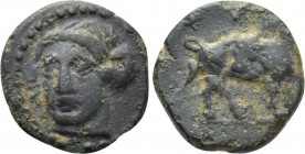 IONIA. Phygela. Ae (Circa 350-300 BC). 

Obv: Head of Artemis Munychia facing slightly left.
Rev: ΦΥ. 
Bull standing right, head turned left.

S...