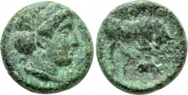 IONIA. Phygela. Ae (Circa 350-300 BC). 

Obv: Head of Artemis Munychia right; wearing stephane.
Rev: ΦΥ. 
Bull butting right.

BMC 1. 

Condit...