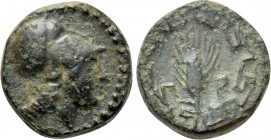 IONIA. Priene. Ae (Circa 350-340 BC). 

Obv: Helmeted head of Athena right.
Rev: Π P. 
Grain ear within circular maeander pattern.

Regling 46. ...