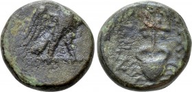 CARIA. Mylasa. Ae (Circa 3rd century BC). 

Obv: Eagle standing right on thunderbolt.
Rev: MYΛΑ / ΣΕΩΝ. 
Trident over crab.

Akarca, Mylasa, p. ...